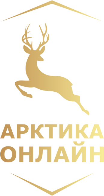 Арктика Онлайн